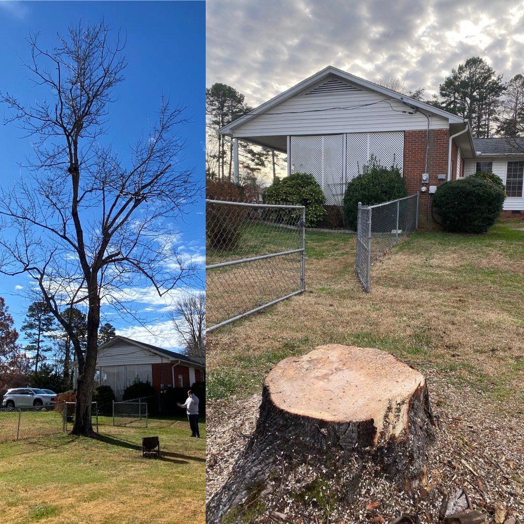 A before and after picture of a tree stump in front of a house.