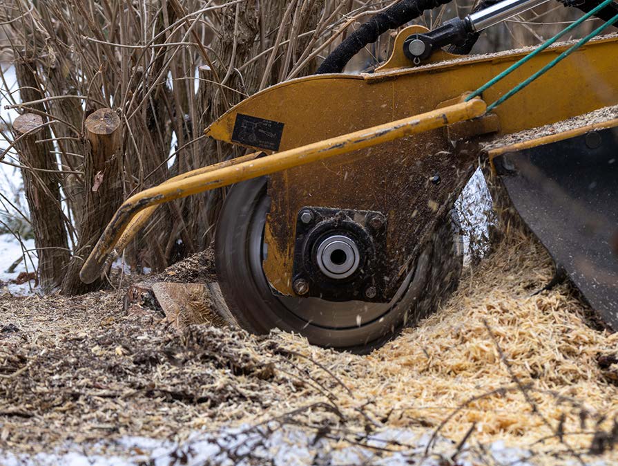 A close up of a stump grinder cutting a tree stump.