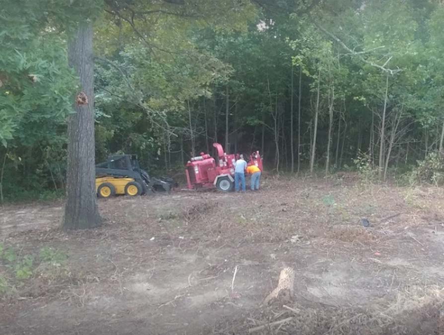 A group of people are standing in a field next to a tractor.
