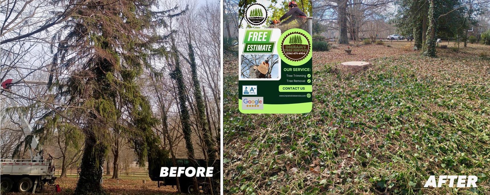 Before and after images of a wooded area. Before image shows trees, after image shows green ground cover.