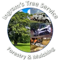 A logo for a tree service company that does forestry and mulching.