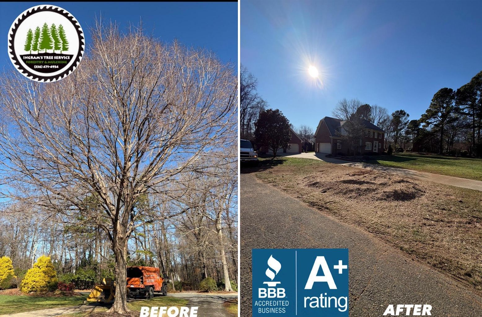 Before and after photos showing a tree removal; a tree with bare branches before and a cleared area after.