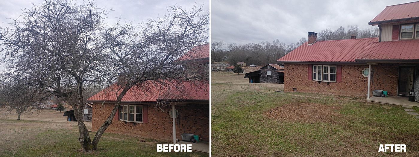Before and after comparison showing a red-roofed brick house with a tree in the foreground, then with the tree removed.