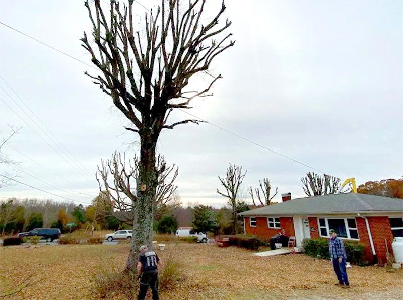 A man is standing next to a large tree in front of a house.