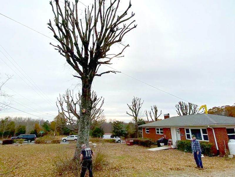 A man is standing next to a tree in front of a house.