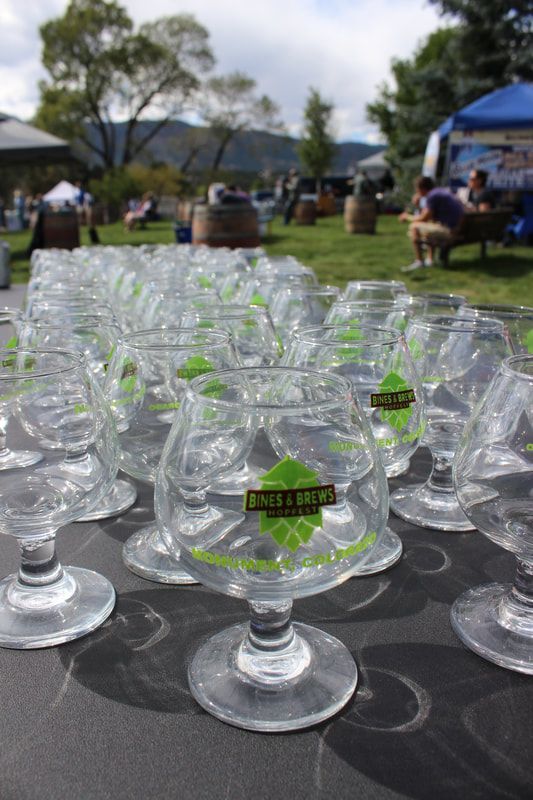 Row of clear beer tasting glasses,