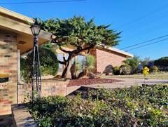 A brick house with a tree in front of it.