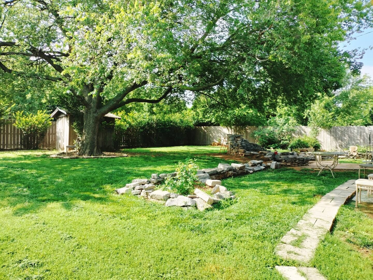 A large tree in the middle of a lush green yard