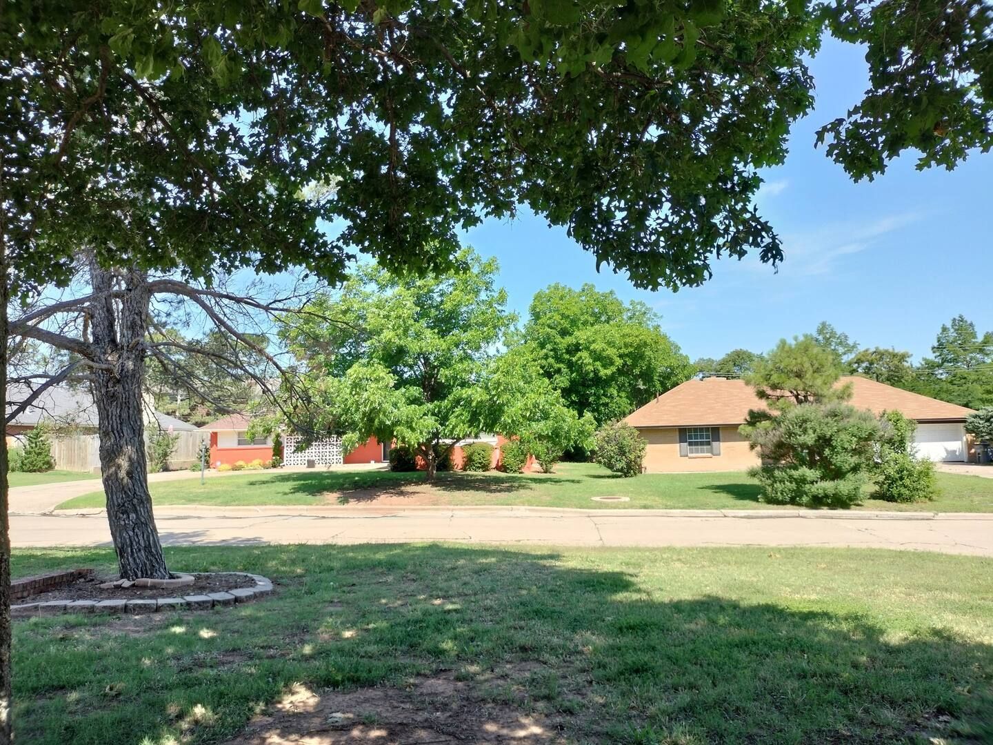 A residential area with a tree in the foreground and houses in the background.