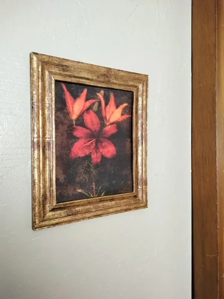 A picture of a red flower in a gold frame is hanging on a white wall.