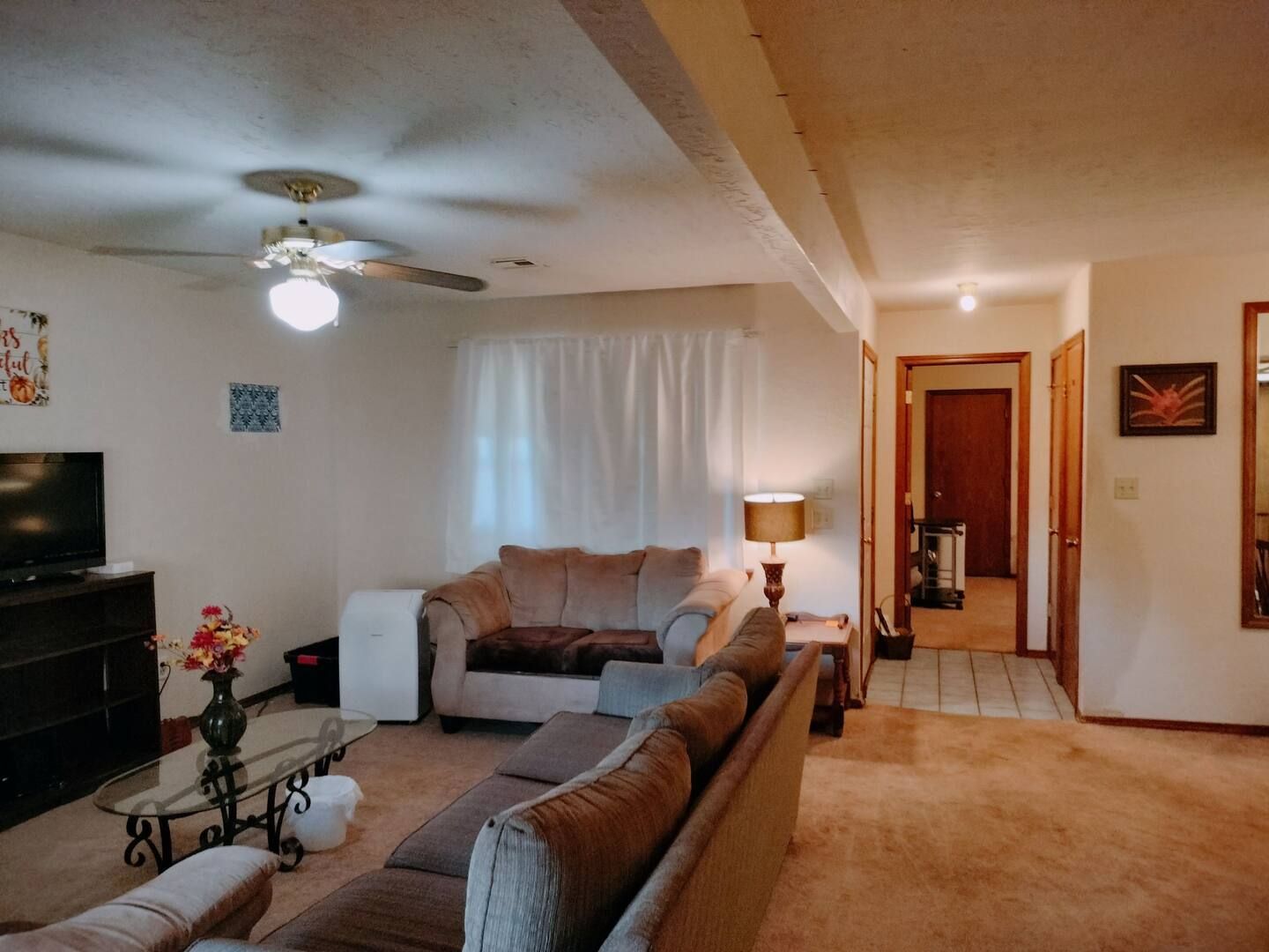 A living room with a couch and a ceiling fan