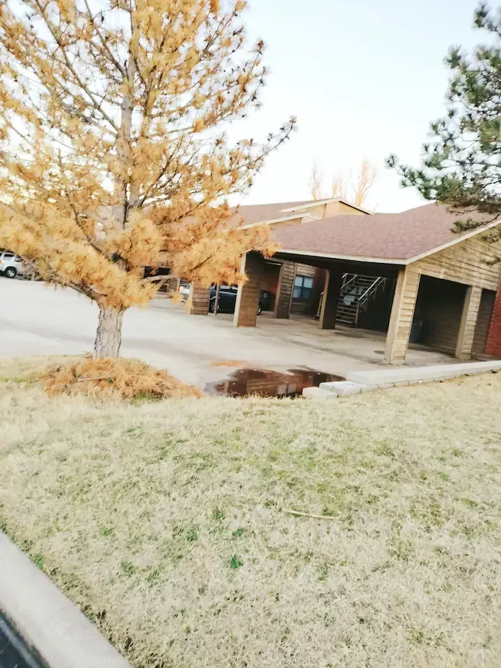 A house with a tree in front of it