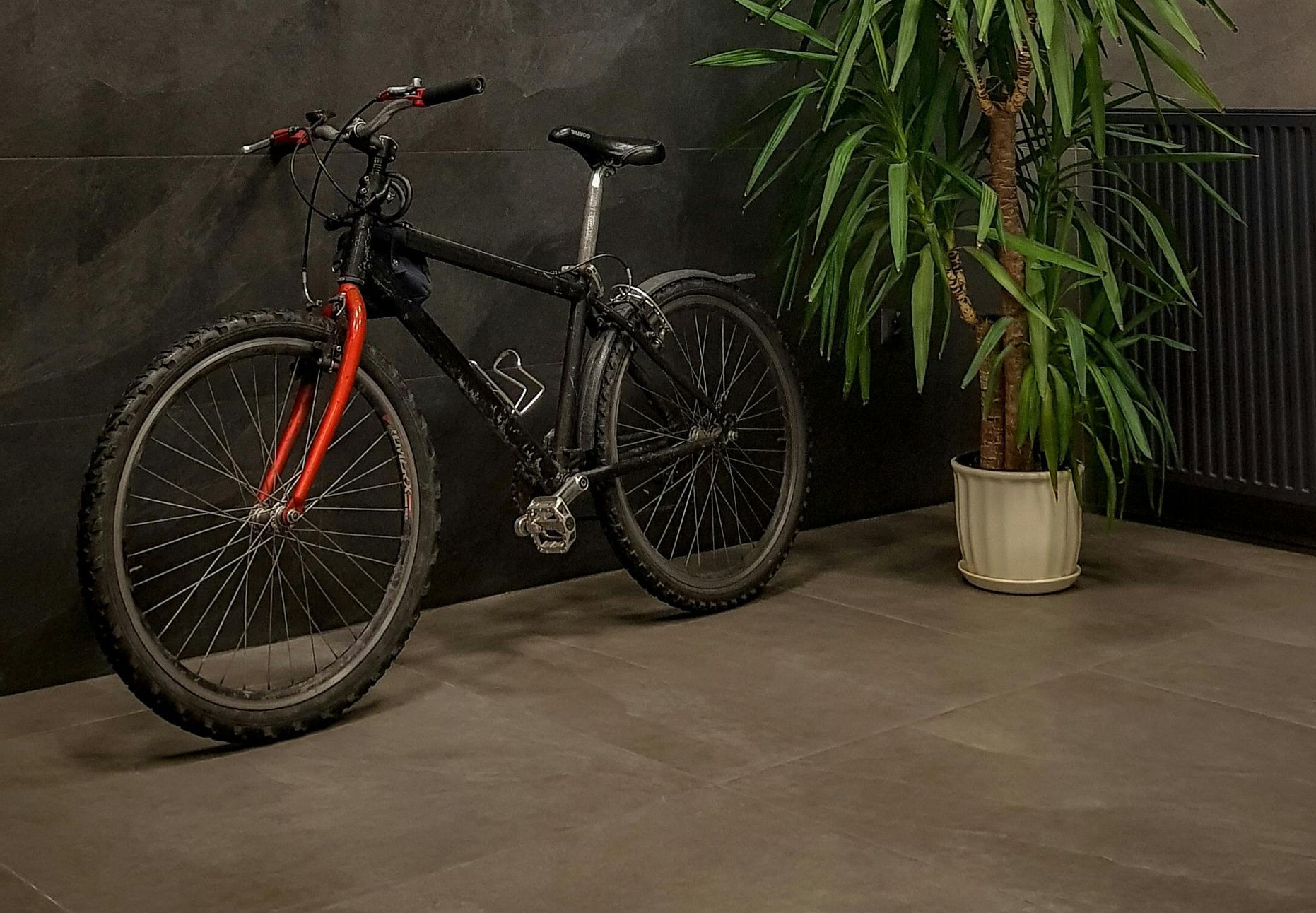 A bicycle is parked next to a potted plant in a room.