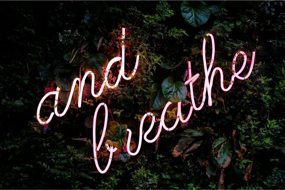 A neon sign that says `` and breathe '' is hanging on a tree.