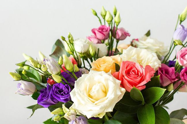Bouquet of colorful roses and other flowers: white, pink, orange, purple, and green foliage against a white background.