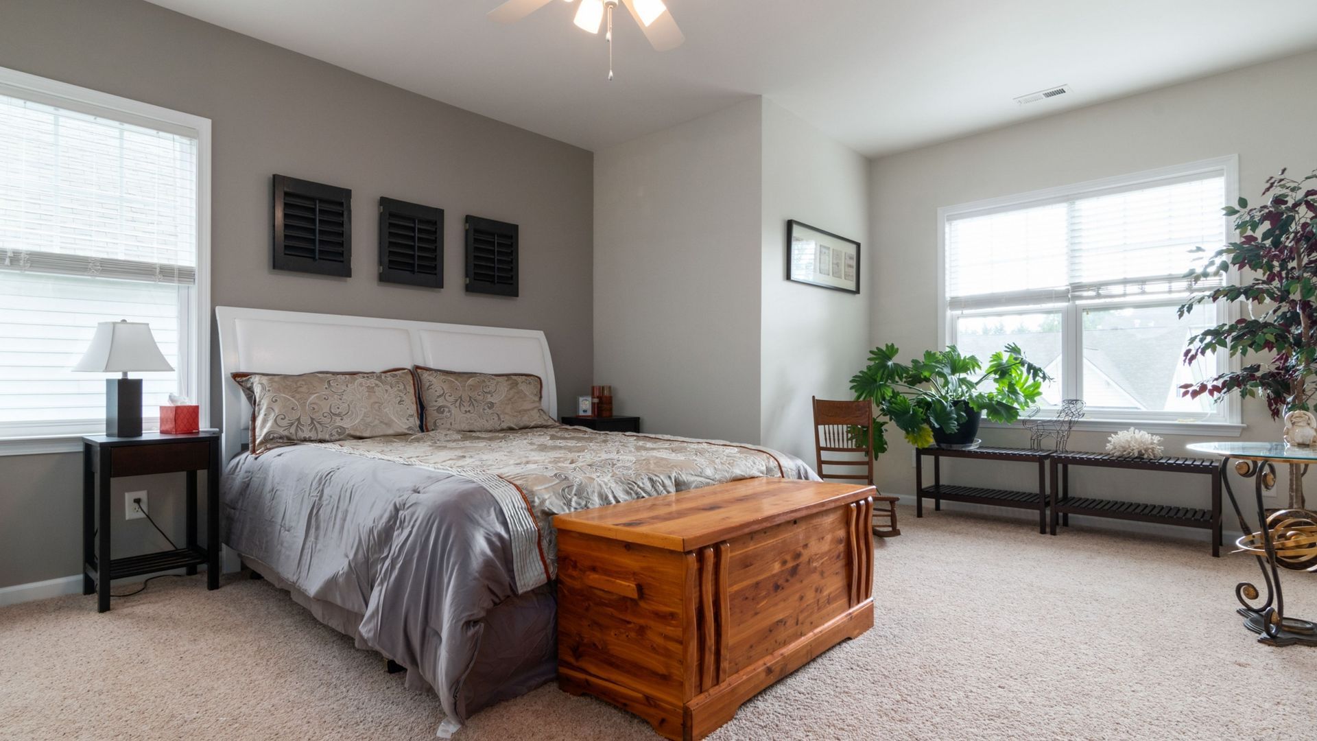 Bright bedroom with a gray bed, wooden chest, plants, and large windows.