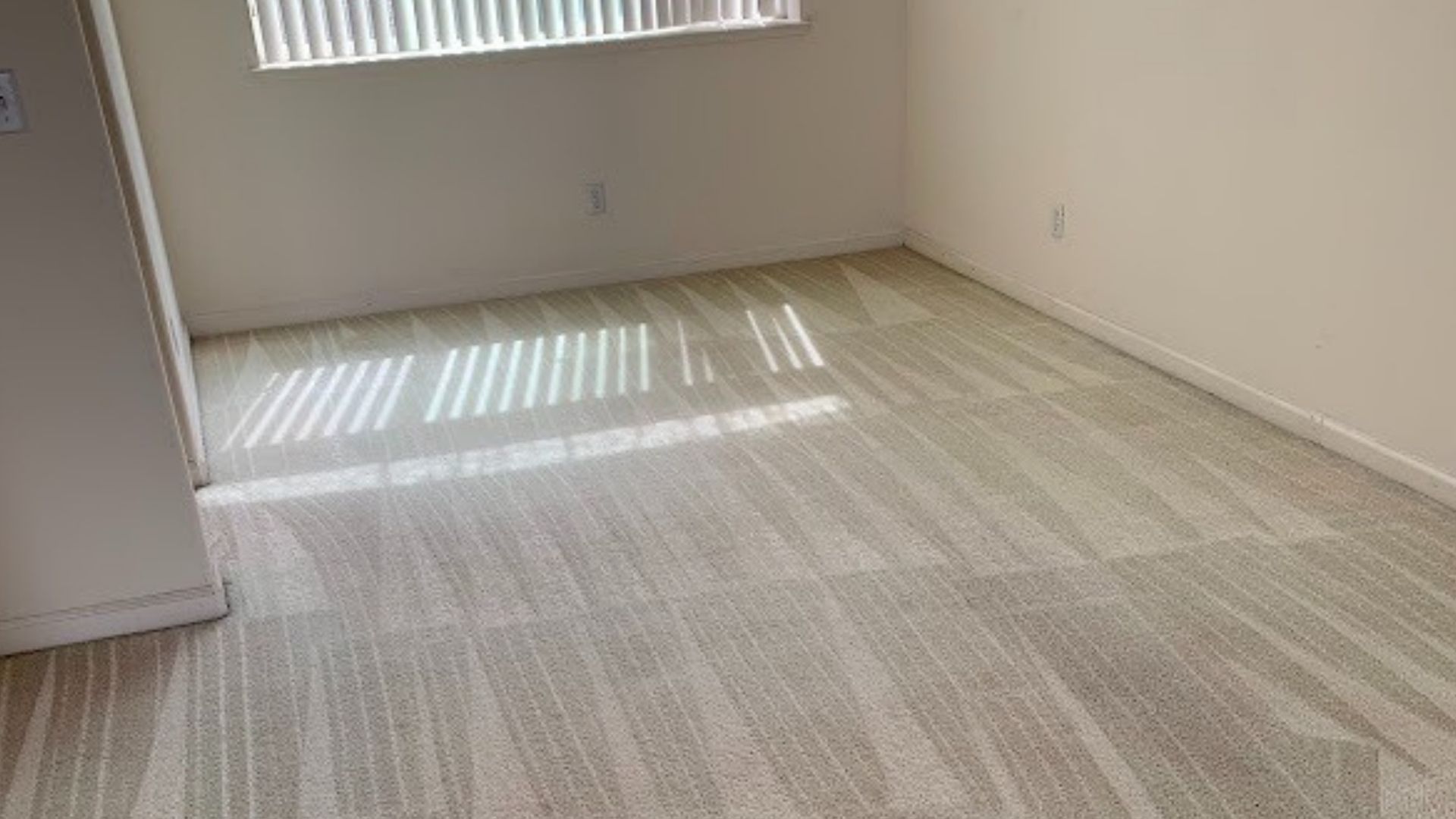 Empty beige carpeted room with white walls and sunlight streaming through a window