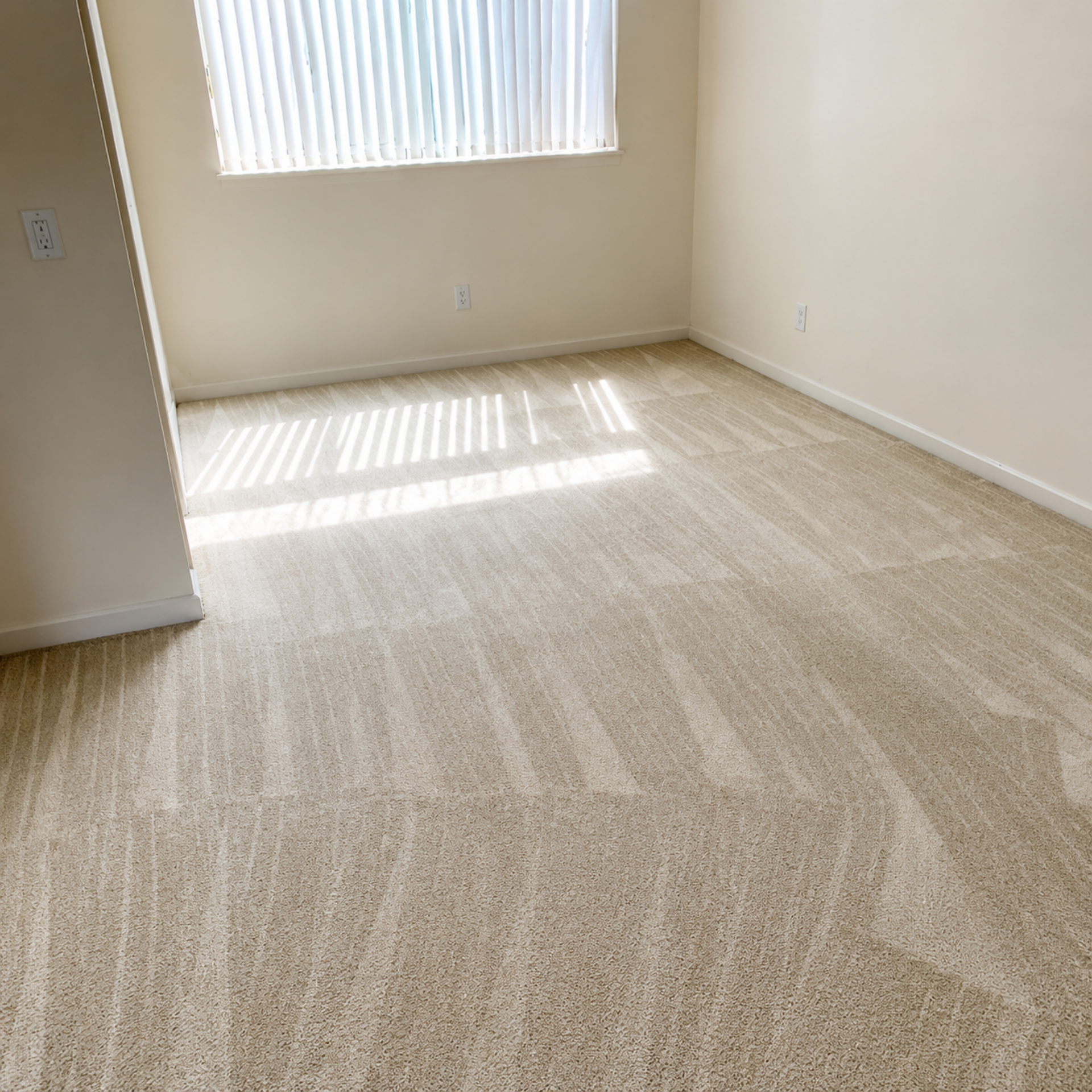Empty beige carpeted room with a window casting bright striped sunlight on the floor