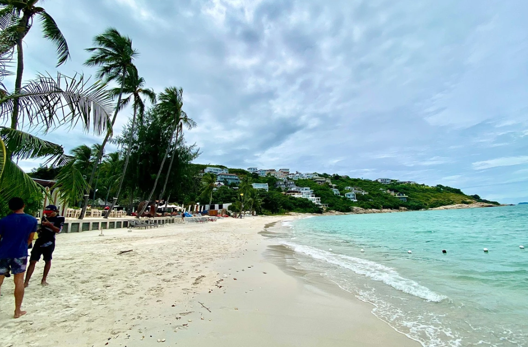 A couple of people are walking on a beach.