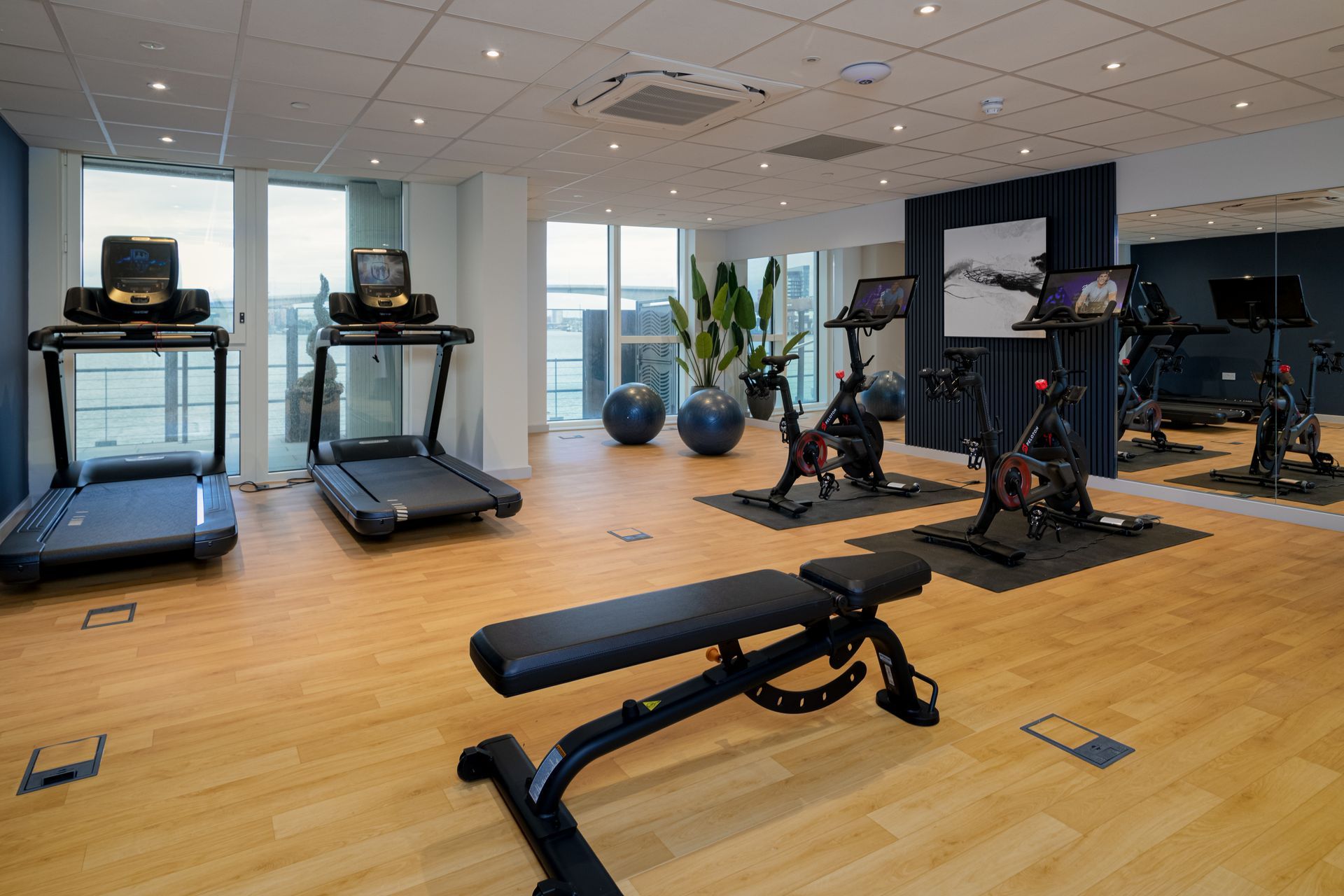 A gym with treadmills , bikes , and a bench.