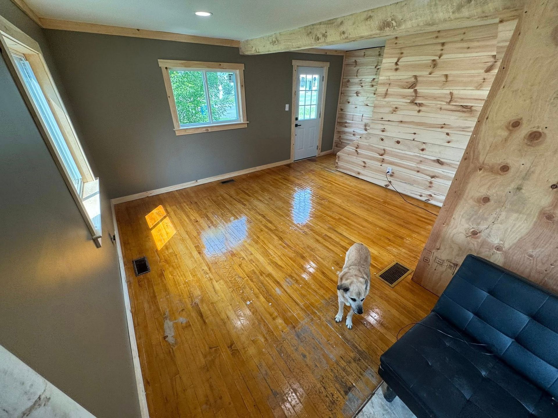 Empty room with glossy wood floors, a small dog, and a blue sofa by wood-paneled wall.