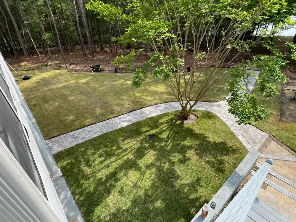 Backyard with green lawn, stone walkway, and trees along the fence line.