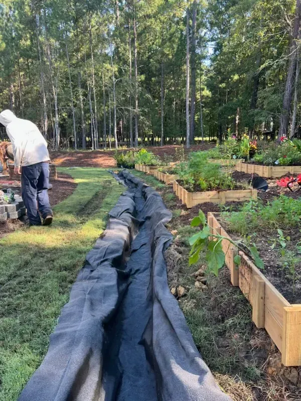 Gardens with raised beds and black landscape fabric; person working along a grassy path among trees.