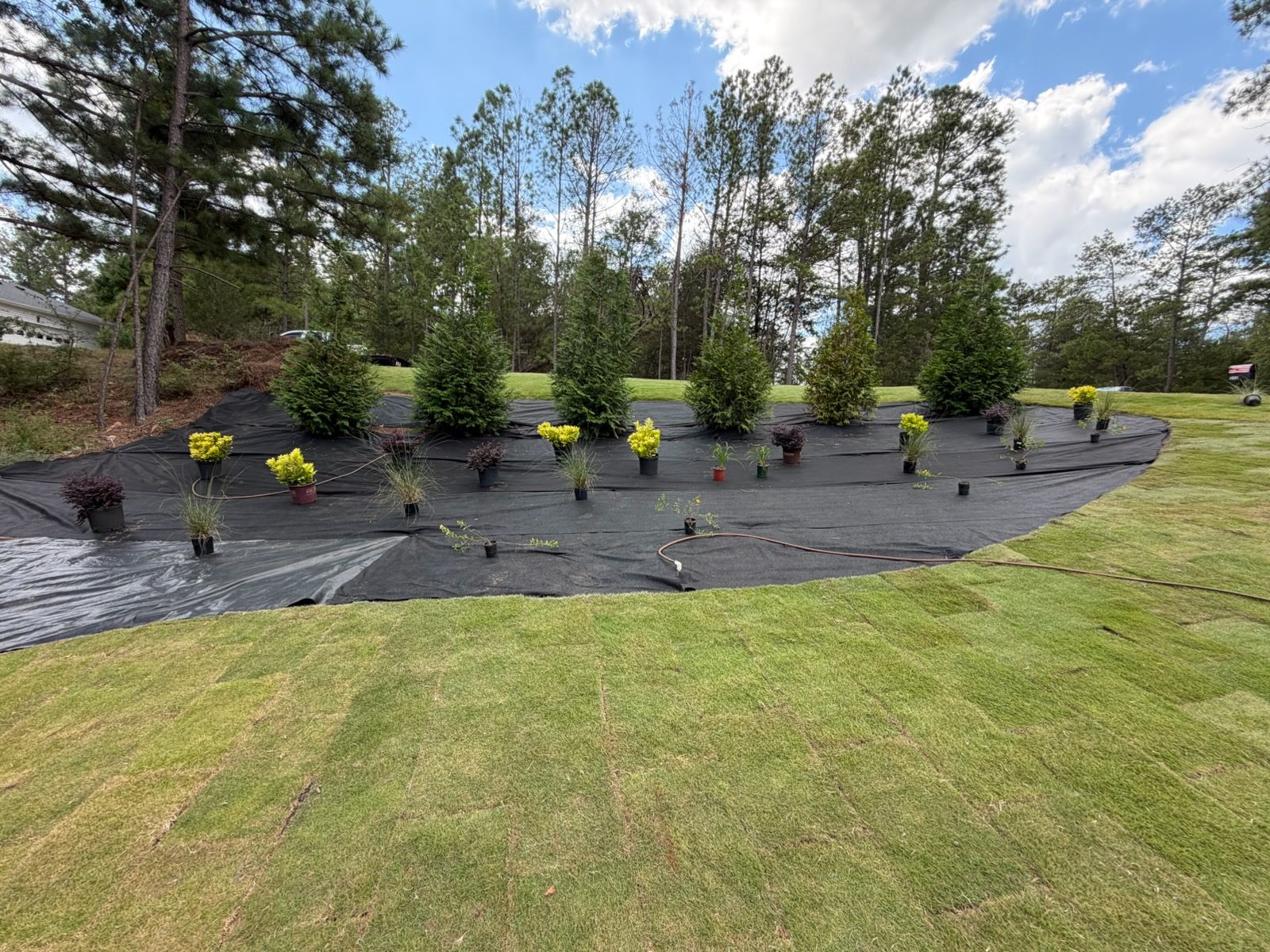 Gloved hands lifting a rolled strip of sod over green grass