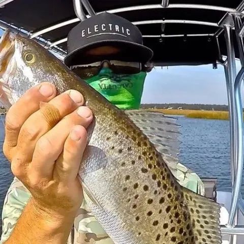 A person in a hat and face mask holds a spotted seatrout on a boat with a waterway in the background.