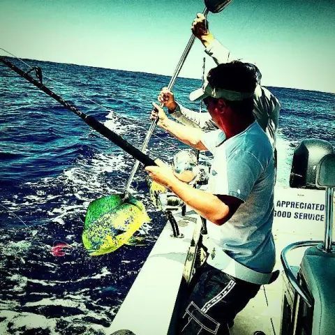 Two people on a boat use a gaff to pull a vibrant green and yellow mahi-mahi fish from the deep blue ocean.