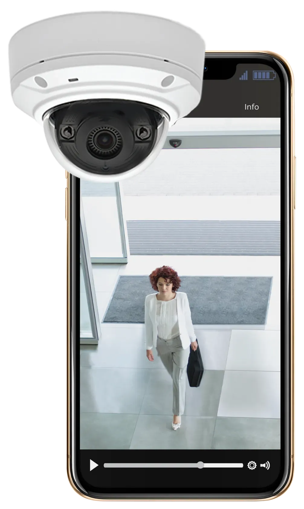 Commercial Security Systems