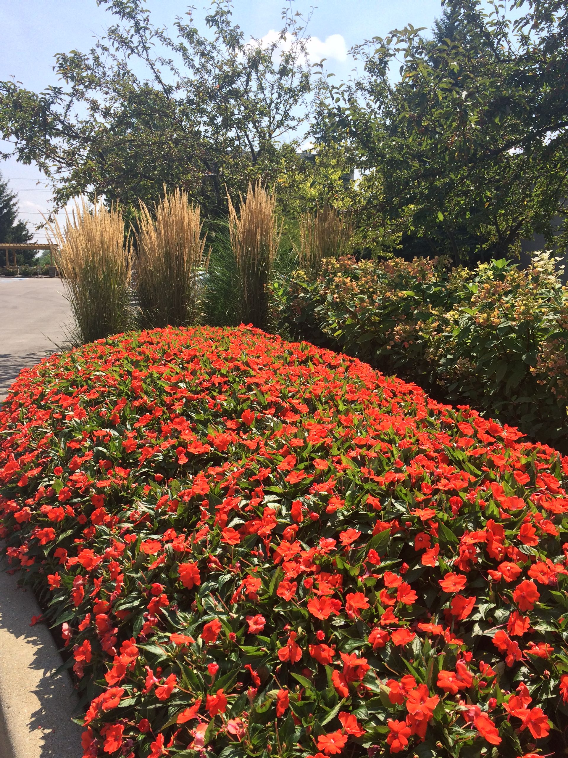 Project Gallery | Westfield, IN | Sun Valley Landscape