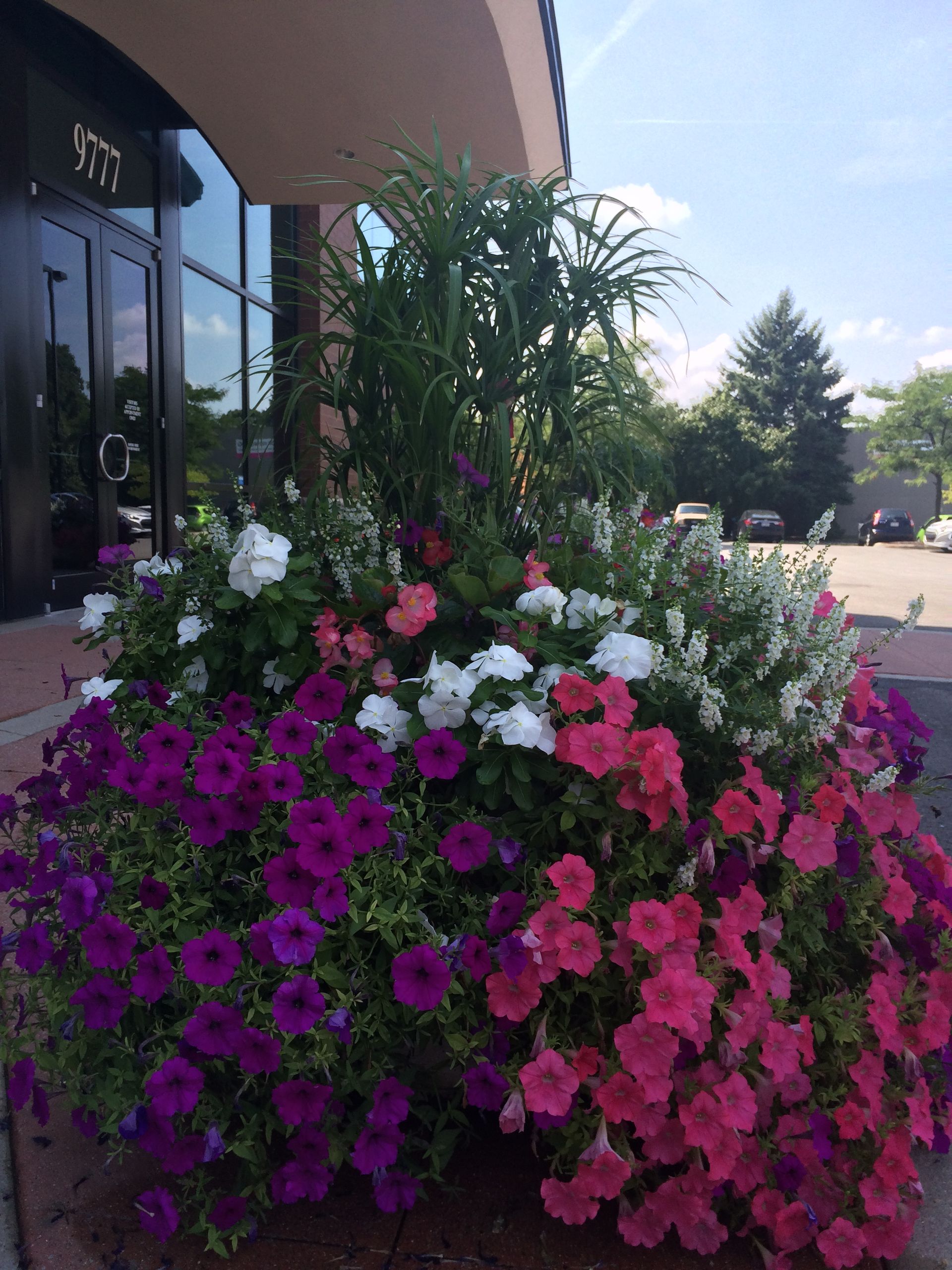 Project Gallery Westfield, IN Sun Valley Landscape