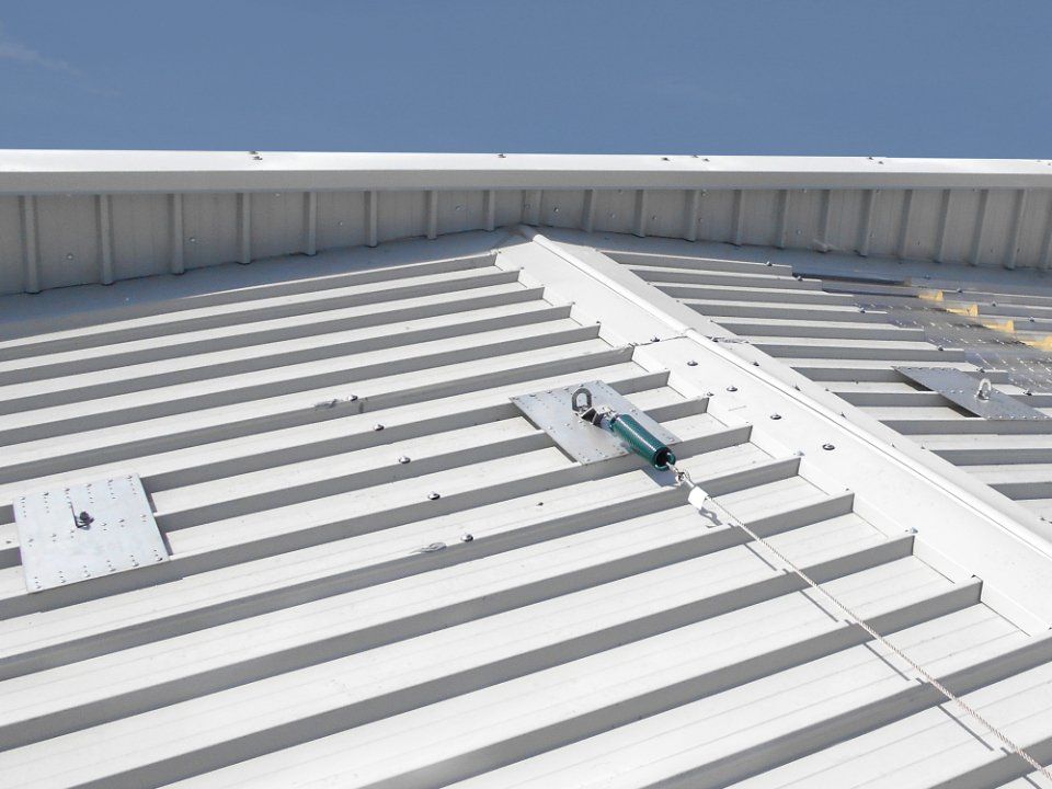 Linee vita