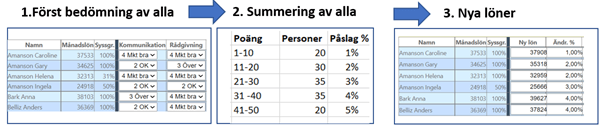 Beskrivning av process