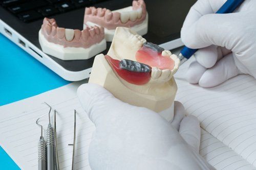 Dentist Holding a Teeth Model — Orange, CT — New England Dental Health Services PC Dentist Holding a Teeth Model — Orange, CT — New England Dental Health Services PC