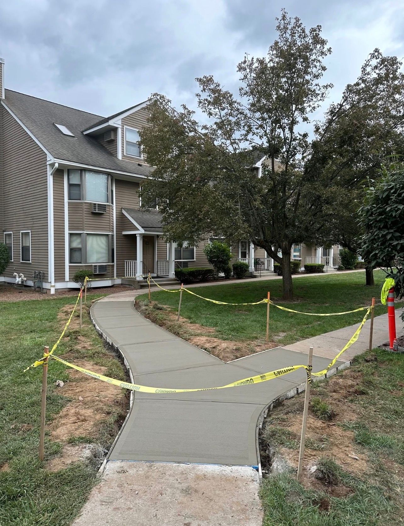Workers operate an asphalt paver to pave a driveway alongside trees in a parking lot. Workers operate an asphalt paver to pave a driveway alongside trees in a parking lot.