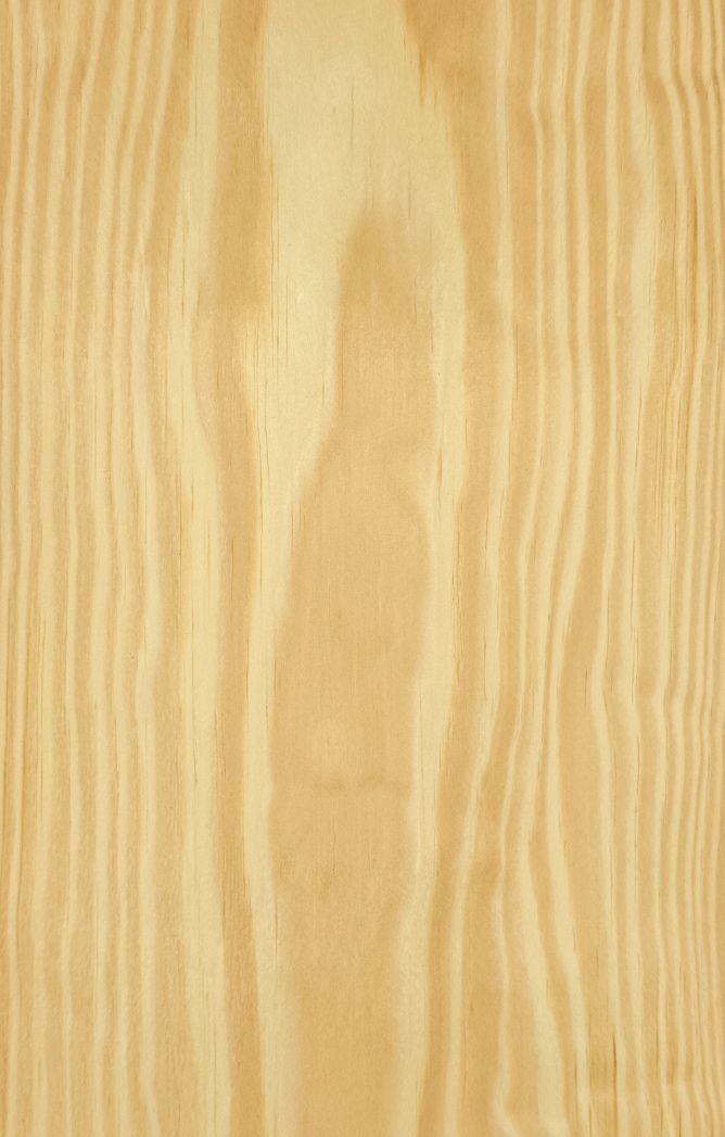 Carolina Pine crown cut veneer