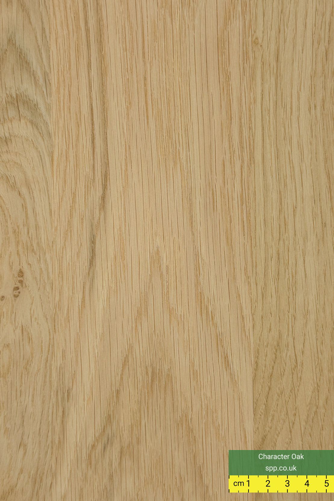 Character Oak Veneered Plywood