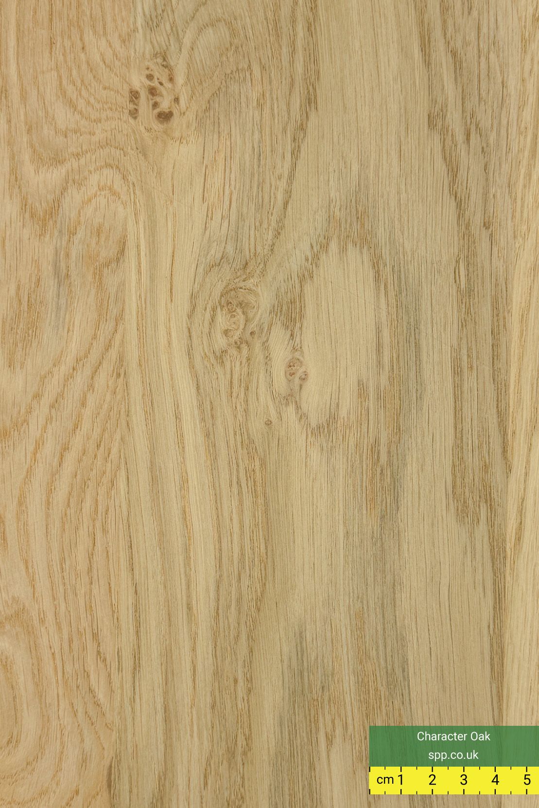 Character Rustic Oak Plywood Panels