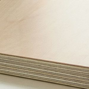 Clear coated birch plywood