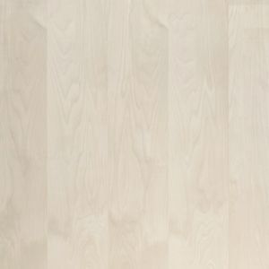 Fine-stripe birch plywood