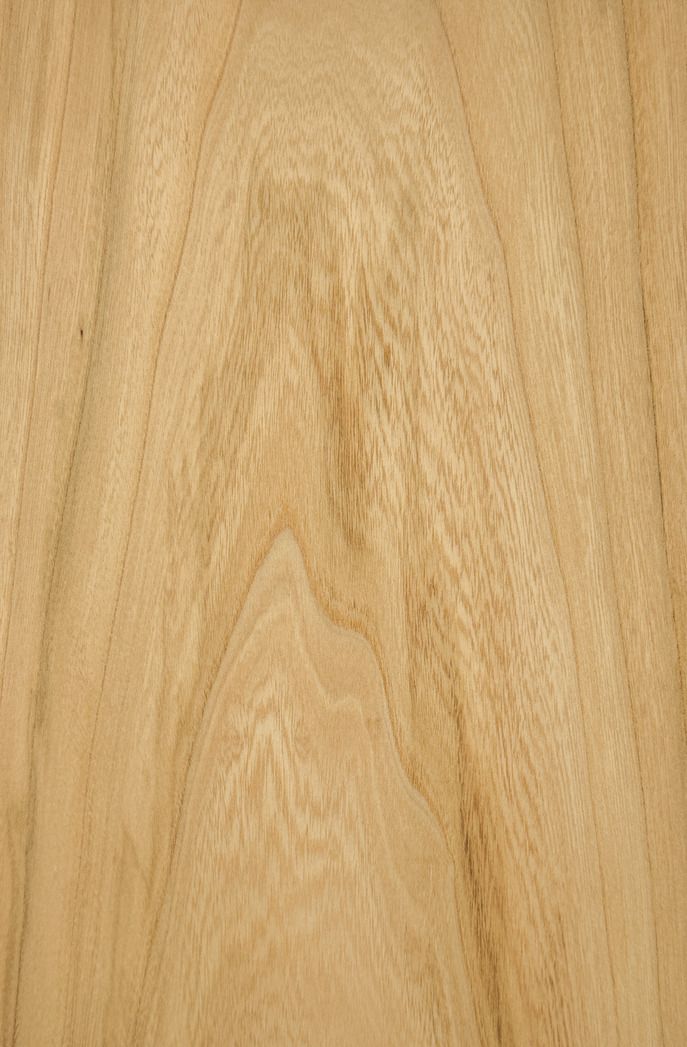 Grey Elm veneered plywood