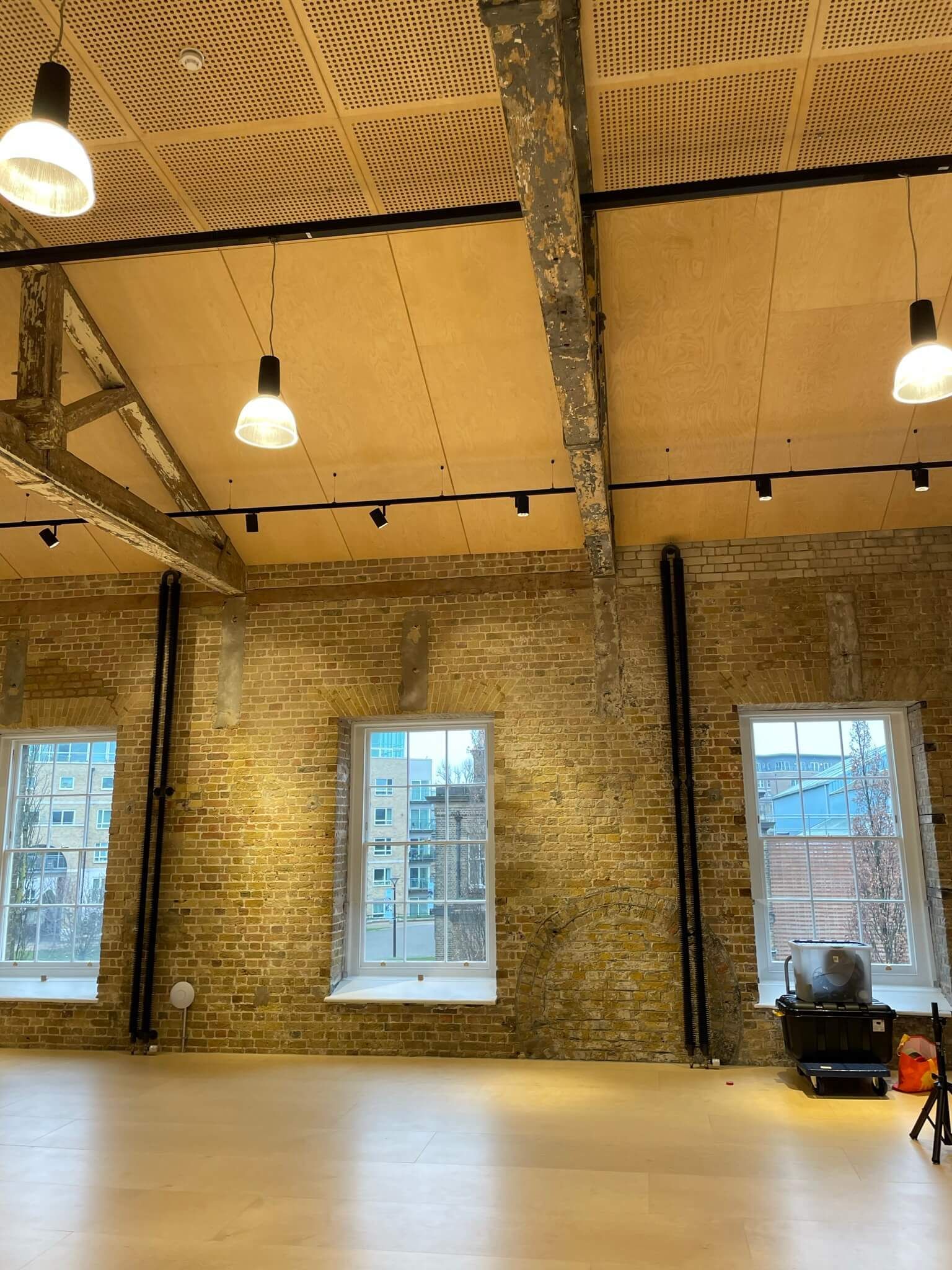 Birch plywood walls & ceiling
