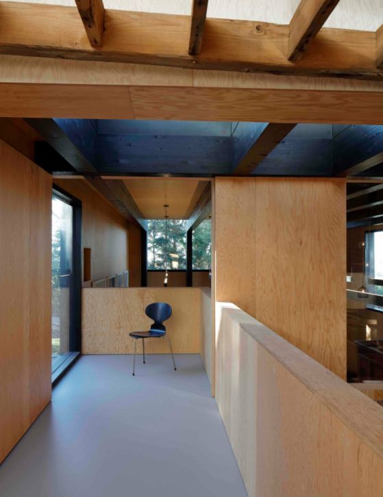 Douglas Fir plywood for wall lining