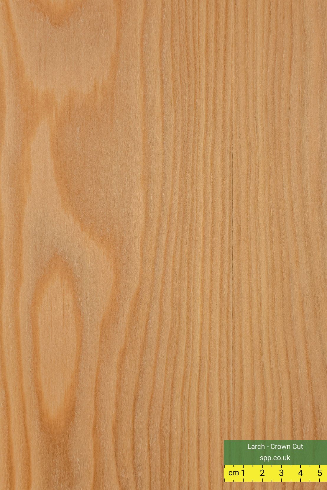 Larch Veneered Birch Plywood