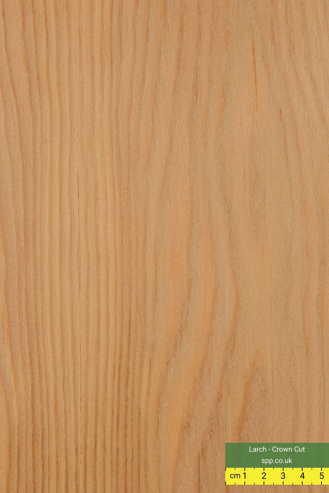 Larch Veneered Plywood Crown Cut