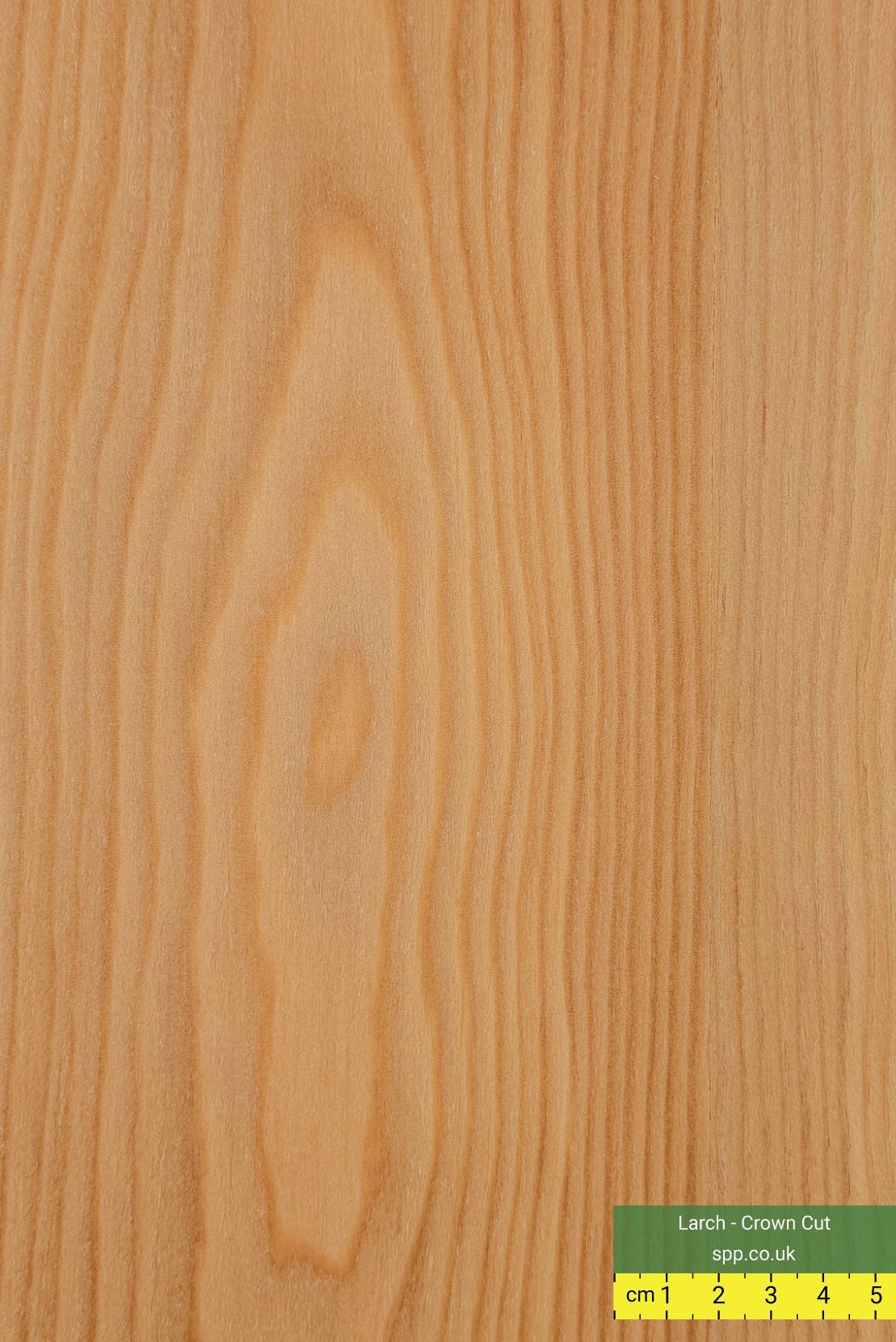 Larch Veneered Birch Plywood Crown Cut