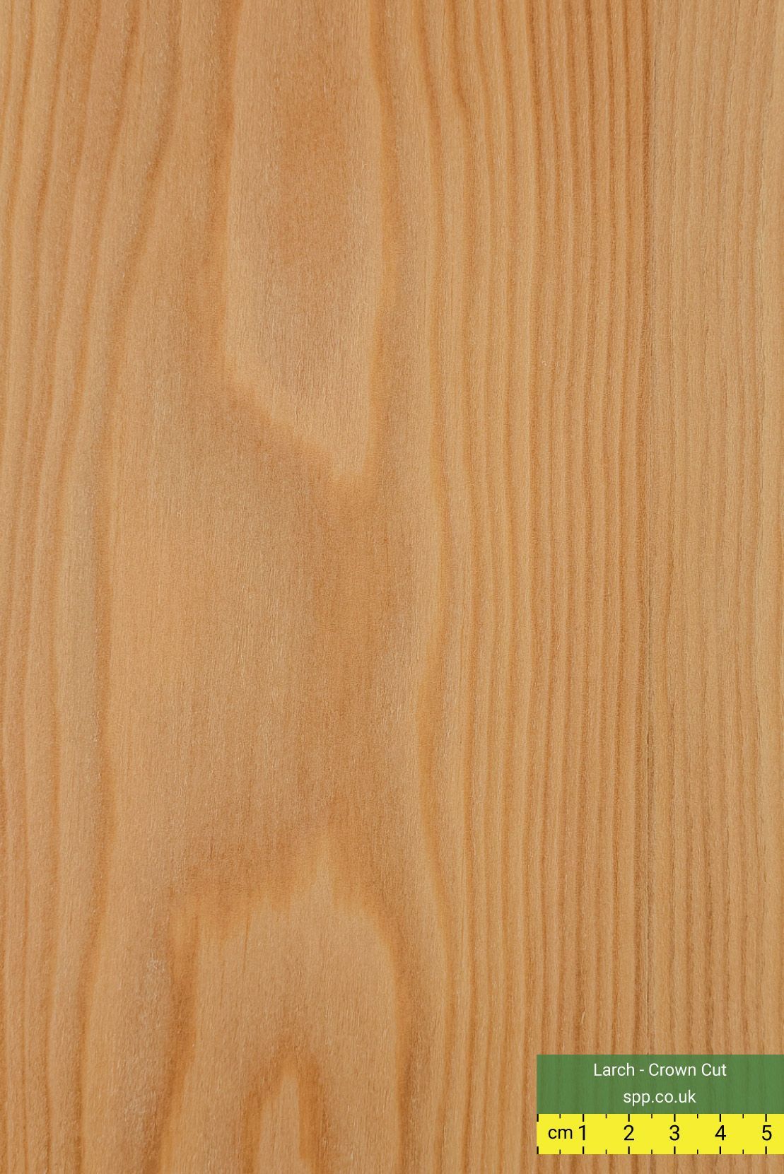 Larch Veneered Panels Crown Cut