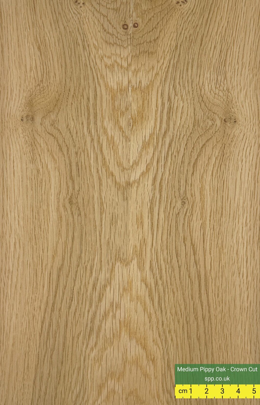 Pippy Character Rustic Oak Veneered Birch Plywood